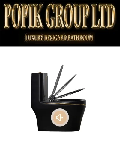 Black LUxury TOilet Design model with Gold line — image 3