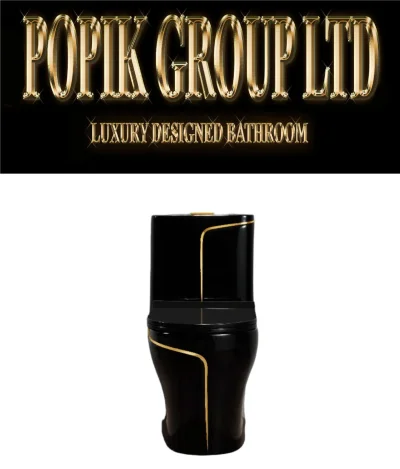 Black LUxury TOilet Design model with Gold line — image 5