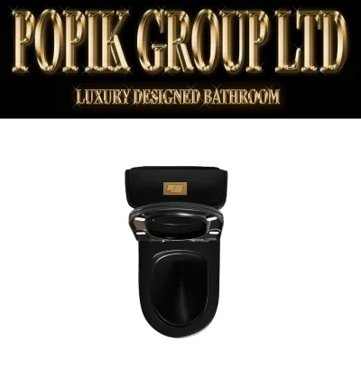 Black LUxury TOilet Design model with Gold line — image 4