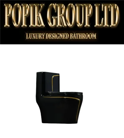 Black LUxury TOilet Design model with Gold line — image 2