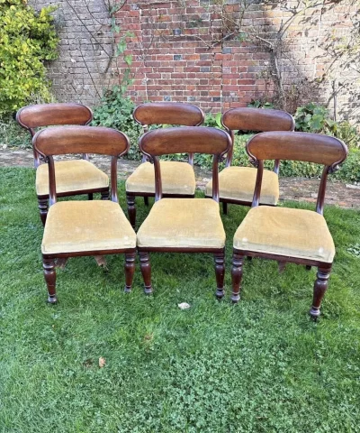 Set of 6 Antique Victorian / Edwardian Mahogany Dining Chairs on Furnish Well