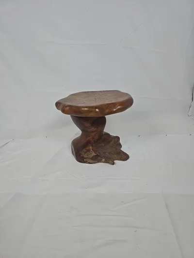 Sculptural Natural Root Wood Side Table – Live Edge / Organic Form – Unique Piece on Furnish Well